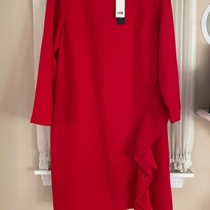 Never worn zip back dress!